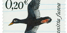 Arktika - Pilkkasiipi  postimerkki 0