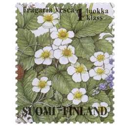 Ketokukkia - Ahomansikka  postimerkki 1 luokka