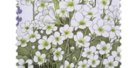 Ketokukkia - Papelorikko  postimerkki 1 luokka