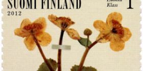 Kevät kukkii - Rentukka  postimerkki 1 luokka