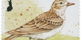 Kevätlorulinnut - Kiuru  postimerkki kotimaa ikimerkki