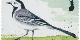 Kevätlorulinnut - Västäräkki  postimerkki kotimaa ikimerkki