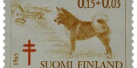 Koiria - Suomenpystykorva ruskeankeltainen / punainen postimerkki 0