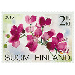 Kukkaloistoa - Orkidea  postimerkki 2 luokka