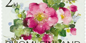 Kukkaloistoa - Villiruusu  postimerkki 2 luokka