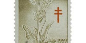 Kukkia - Kevätesikko ruskea / punainen postimerkki 20 markka