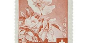 Kukkia - Villiruusu punainen postimerkki 9 markka