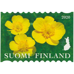 Luonnonkukkia - Niittyleinikki  postimerkki kotimaa ikimerkki