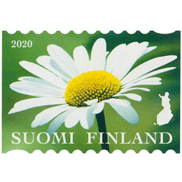 Luonnonkukkia - Päivänkakkara  postimerkki kotimaa ikimerkki