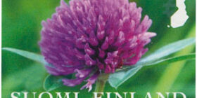 Luonnonkukkia - Puna-apila  postimerkki kotimaa ikimerkki