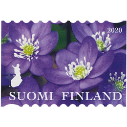 Luonnonkukkia - Sinivuokko  postimerkki kotimaa ikimerkki