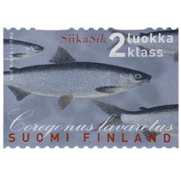 Maakuntakalat - Siika  postimerkki 2 luokka