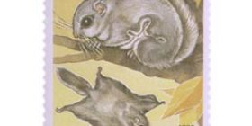 Nisäkkäitä - Liito-orava  postimerkki 1