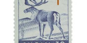 Nisäkkäitä - Poro sininen / punainen postimerkki 30 markka
