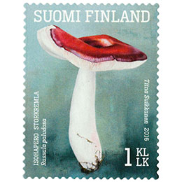 Ruokasieniä - Isohapero  postimerkki 1 luokka