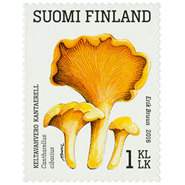 Ruokasieniä - Keltavahvero  postimerkki 1 luokka
