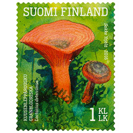 Ruokasieniä - Kuusenleppärousku postimerkki 1 luokka
