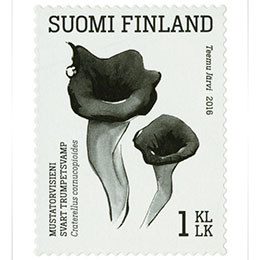 Ruokasieniä - Mustatorvisieni  postimerkki 1 luokka
