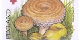 Sieniä - Karvarousku  postimerkki 0