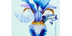 Siperiankurjenmiekka  postimerkki 1 luokka