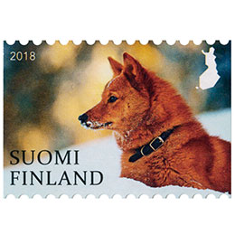 Suomen luontotunnukset I - Suomenpystykorva  postimerkki kotimaa ikimerkki